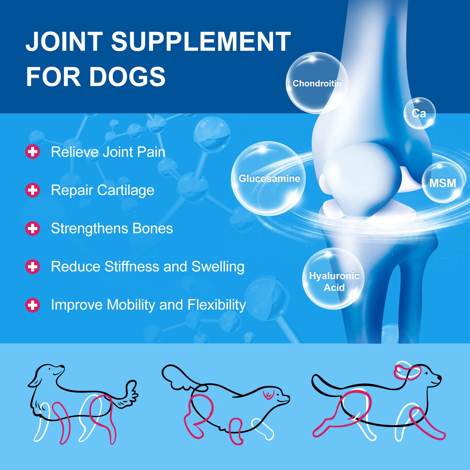 Glucosamine for Dogs Powder, Dog Vitamins Powder