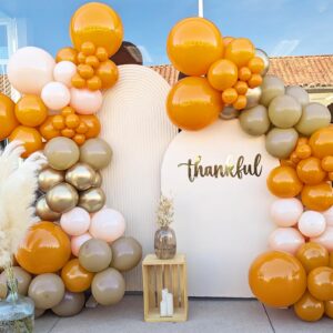 Vidavan Thanksgiving Balloons Fall Balloon Arch Kit, 111pcs Burnt Orange and Apricot Peach Double Stuffed Balloons for ThanksGiving Fall Baby Shower Birthday