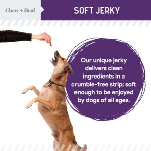 Chew + Heal Labs Dog Salmon Jerky Treats for Hip and Joint - 12 oz of Mobility Soft Dog Jerky Treats - Made with Alaskan Salmon, Turmeric, Glucosamine, Chondroitin, Green Lipped Mussel, and More