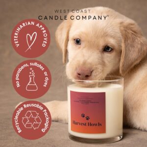 Pet Friendly Candle | Pet Safe Candle | All Natural Clean Burning Soy Candle | Pet Odor Eliminator | Dog & Cat Safe Candle | Air Freshening Scented Candles | 4 oz (Home for The Howlidays)