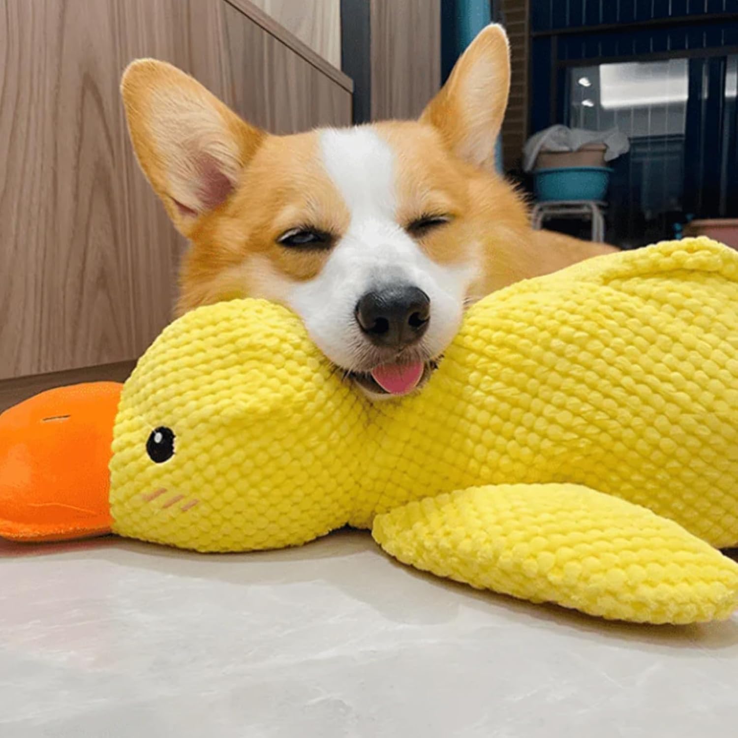 Outfany Calm Duck, Noovelo Calming Duck Toy, Quacker Calming Duck Toy, Quaker Calming Duck Toy, Cute Quacking Stuffed Duck Dog Toy, Yellow Stuffed Duck Dog Chew Toys (Yellow)