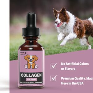 Collagen for Dogs - Liquid Collagen for Dogs - Skin and Coat Supplement for Dogs - Dog Liquid Collagen - Dog Collagen - Dog Collagen Drops - Collagen Dog - Collagen Dogs - 1 fl oz - Bacon Flavor