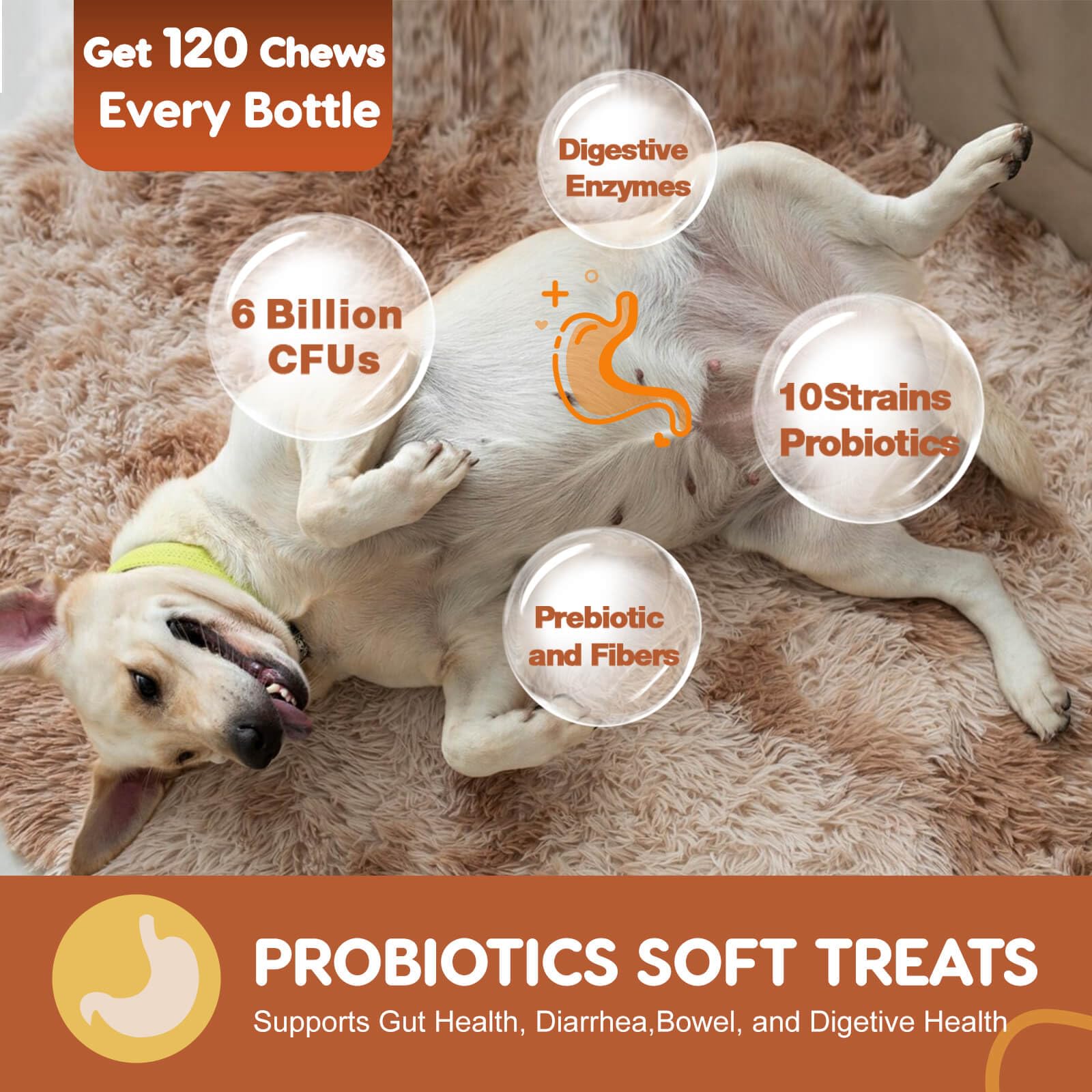 Probiotics for Dogs, Dog Probiotics for Digestive Health, Plus Pumpkin and Fish Oil, for Gut & Itchy, 120 Soft Chews