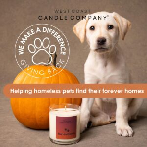 Pet Friendly Candle | Pet Safe Candle | All Natural Clean Burning Soy Candle | Pet Odor Eliminator | Dog & Cat Safe Candle | Air Freshening Scented Candles | 4 oz (Home for The Howlidays)