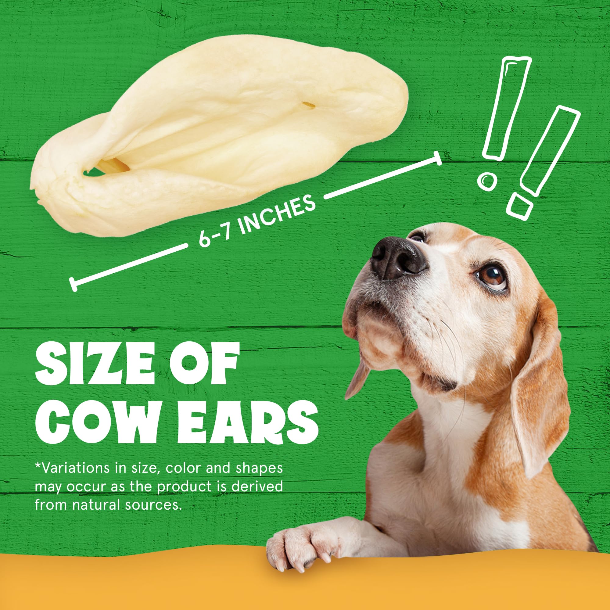 Cows Ears for Dogs, Thick and Large Dog Ears, Single Ingredient and No Odor Cow Treats, Long Lasting Cow Ears, Natural & Grass-fed Dog Treat Animal Ears, Cow Ears for Puppies and All Breeds (30 Pack)