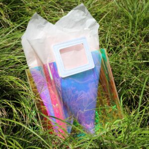 KeerxunBag 1 Pack Holographic Gift Bags with Handles & 2 Tissue Paper Sheets – Iridescent Transparent Reusable Bags for Women, Girls, Birthdays, Weddings，Pink Gift Bag