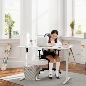 Meilocar Electric Standing Desk, Height Adjustable Desk 48 x 24 Inch Sit Stand Up Desk, Home Office Desk with Splice Board, Computer Desk with Memory Preset, Metal Bracket, White Frame and White Top