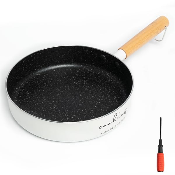 VIVIDCOOKWARE Nonstick Ceramic Frying Pan Skillet, 8-Inch Omelet Pan, Healthy Non Toxic Chef Pan, Compatible Egg Pan with Heat Resistant Handle, PFAS-Free