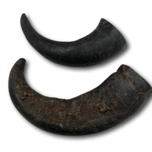 Top Dog Chews – Water Buffalo Horn, Long Lasting Dog Chew for Aggressive Chewers, All Natural, Dog Bone for Large & Medium Dogs, 2 Pack