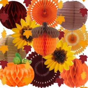 iwlorys fall party decorations set for autumn harvest thanksgiving forest woodland birthday wild one pumpkin acorn party decor baby bridal shower paper honeycomb lanterns maple leaves brown burgundy