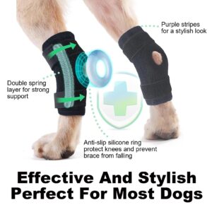 IEhotti Dog Leg Brace for Rear Leg/Hock/Ankle, Dog Hip Brace for Bottom Joint Post-Operative Recovery, Strong Support Help, Dog Braces for Torn ACL CCL Leg Injuries, 1 Pair, Medium