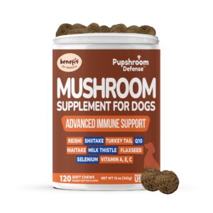 mushroom supplement for dogs - turkey tail, lions mane, reishi & milk thistle for dogs, for immune support, hip and joint, skin and coat - dog vitamins, 120 soft chews- mushroom for dogs