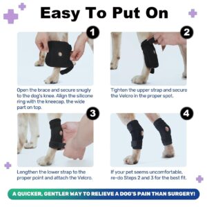 IEhotti Dog Leg Brace for Rear Leg/Hock/Ankle, Dog Hip Brace for Bottom Joint Post-Operative Recovery, Strong Support Help, Dog Braces for Torn ACL CCL Leg Injuries, 1 Pair, Medium