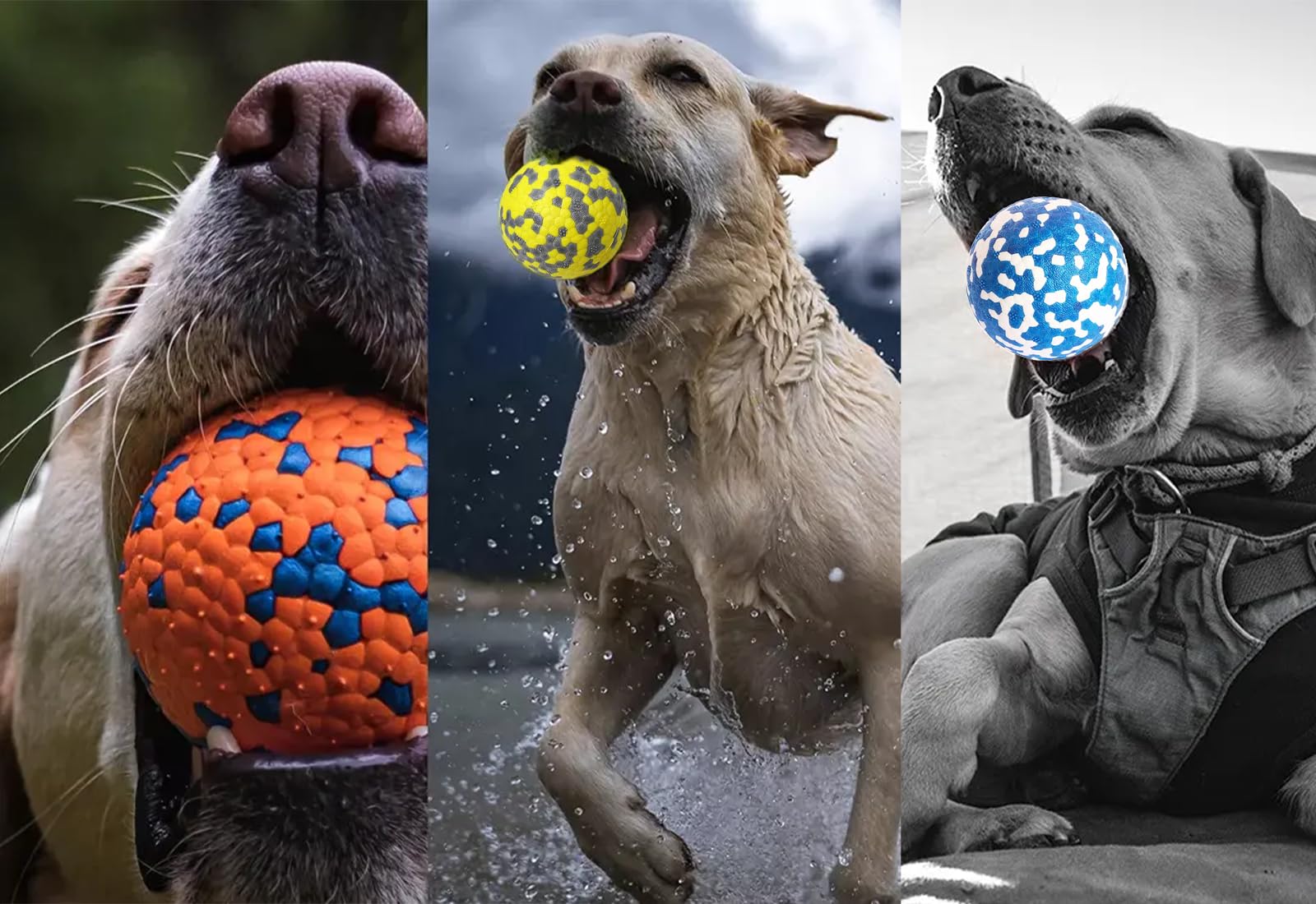 Hungry Dog Co.- Super Durable Premium Dog Balls -Pet Safe Dog Toys for Fun and Play. Very Bouncy and Durable -Great for Aggressive Chewers -Stimulating Colors and Patterns -2 Multi-Color 3” Balls #2