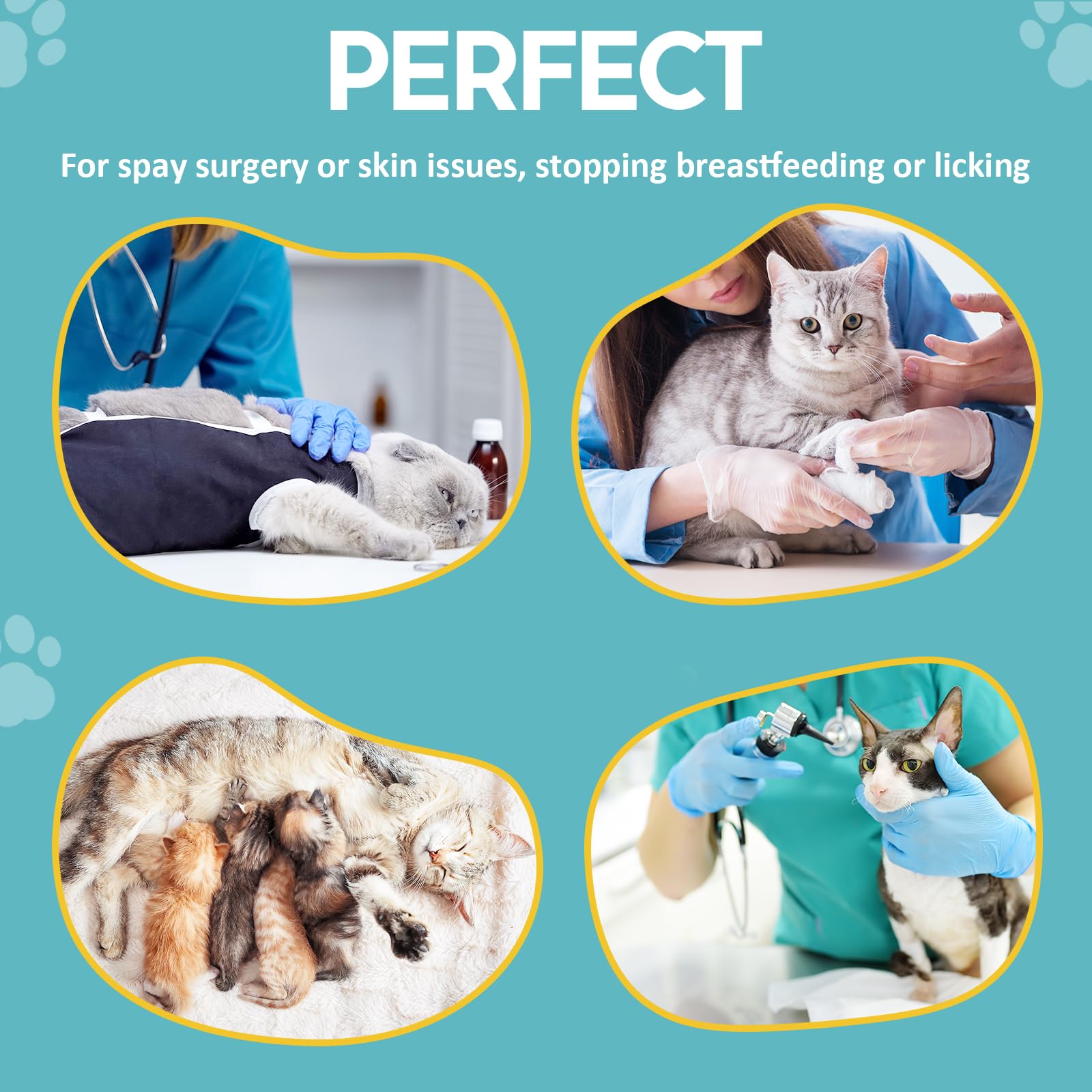 Avont Cat Recovery Suit - Post-Surgery Onesie for Cats, Alternative to Cone of Shame, Protective Spay Suit for Female Kitten, Ideal for Healing and Skin Conditions -Mintgreen(M)