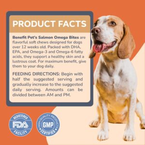 Omega 3 for Dogs - Skin & Coat Soft Chews for Dogs - Salmon Oil, EPA & DHA Fatty Acids - Itch Relief, Hot Spots, Shedding, Allergies & Hot Spot Relief - 120 Soft Chews, Made in USA