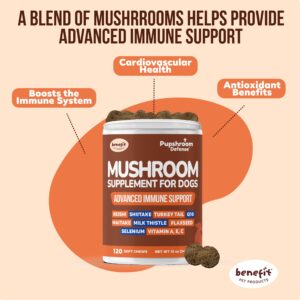 Mushroom Supplement for Dogs - Turkey Tail, Lions Mane, Reishi & Milk Thistle for Dogs, for Immune Support, Hip and Joint, Skin and Coat - Dog Vitamins, 120 Soft Chews- Mushroom for Dogs