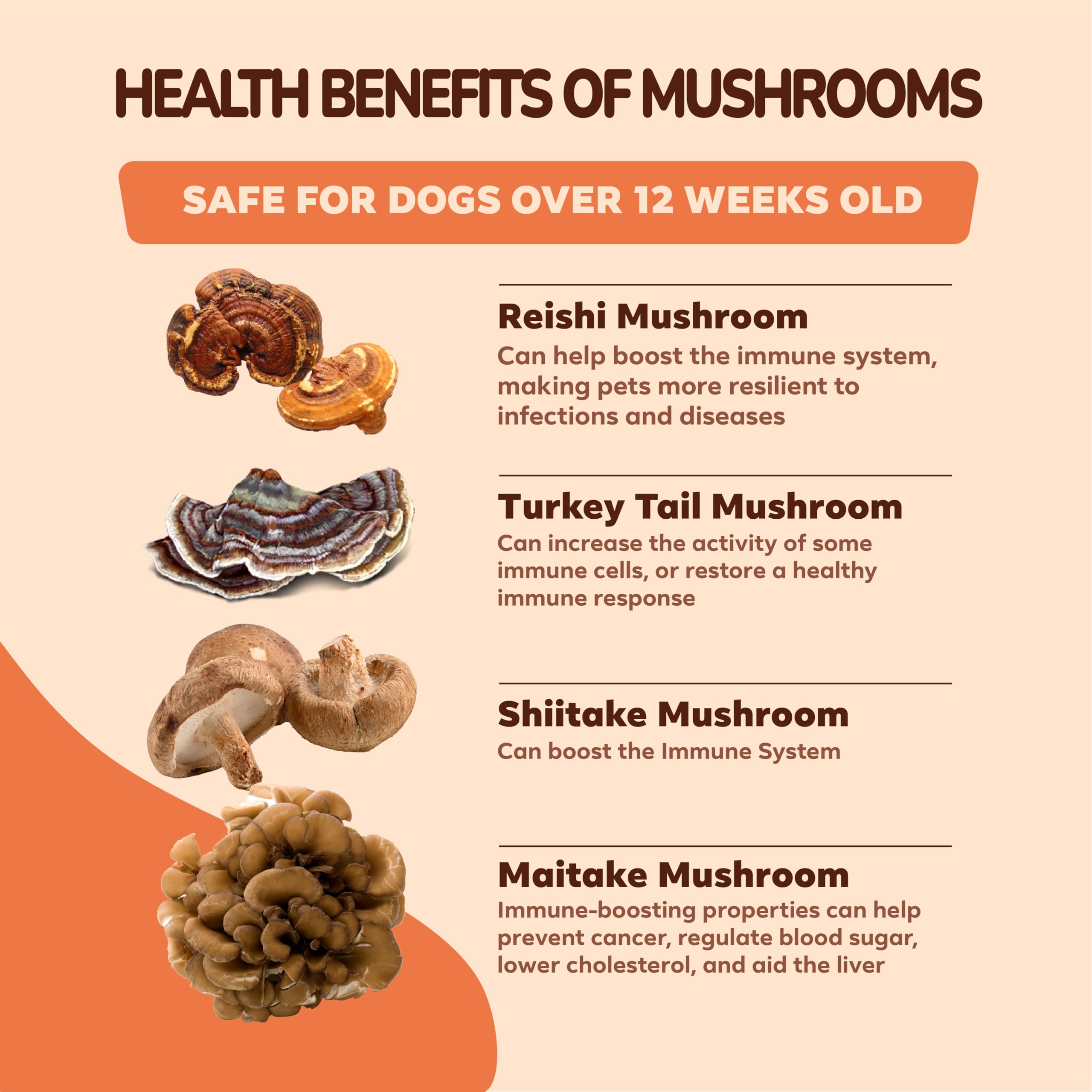 Mushroom Supplement for Dogs - Turkey Tail, Lions Mane, Reishi & Milk Thistle for Dogs, for Immune Support, Hip and Joint, Skin and Coat - Dog Vitamins, 120 Soft Chews- Mushroom for Dogs