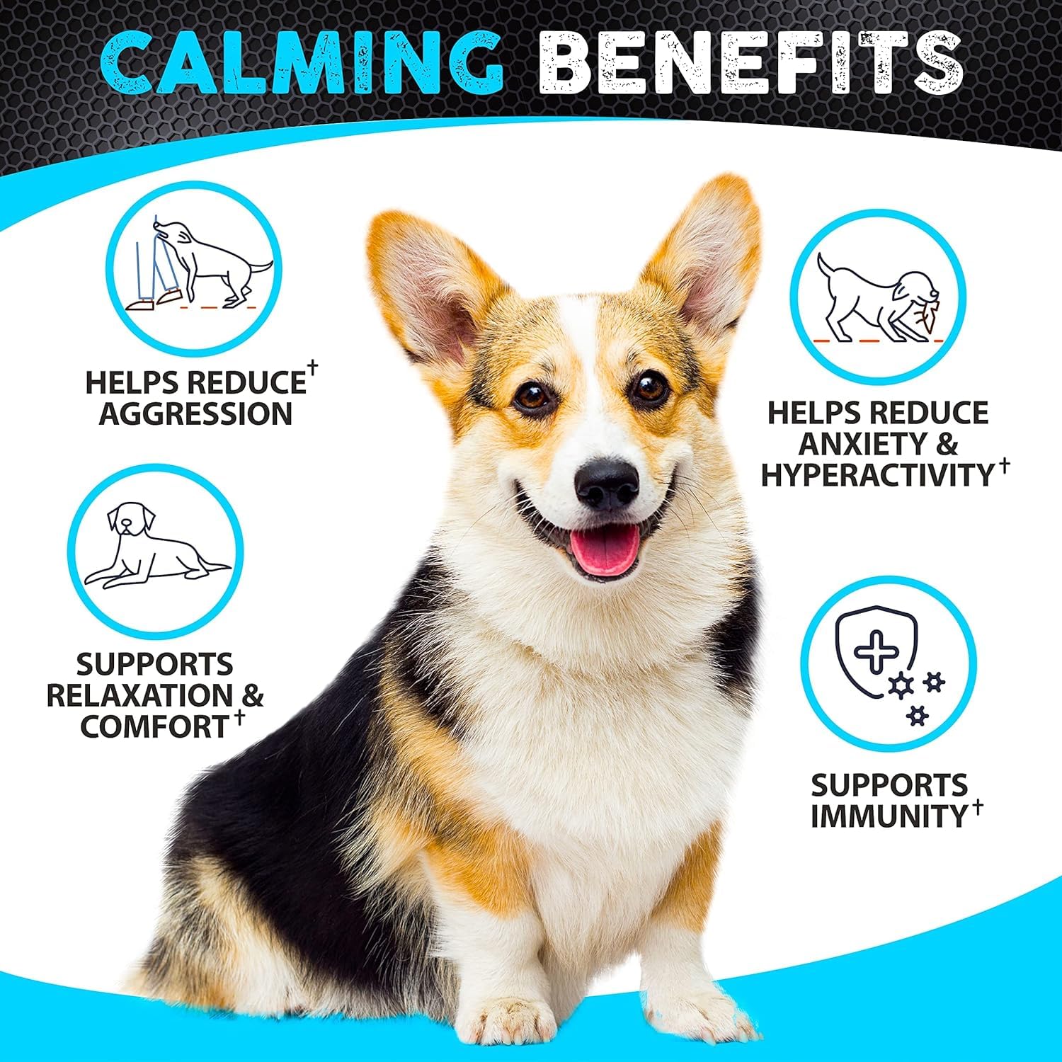 Hemp Calming Chews for Dogs Anxiety - 170 Dog Calming Chews - Anxiety Relief Treats - Dog Calming Treats - Hemp Oil - Sleep Calming Aid - Advanced Calming Health Joint Support Supplement - Made in USA