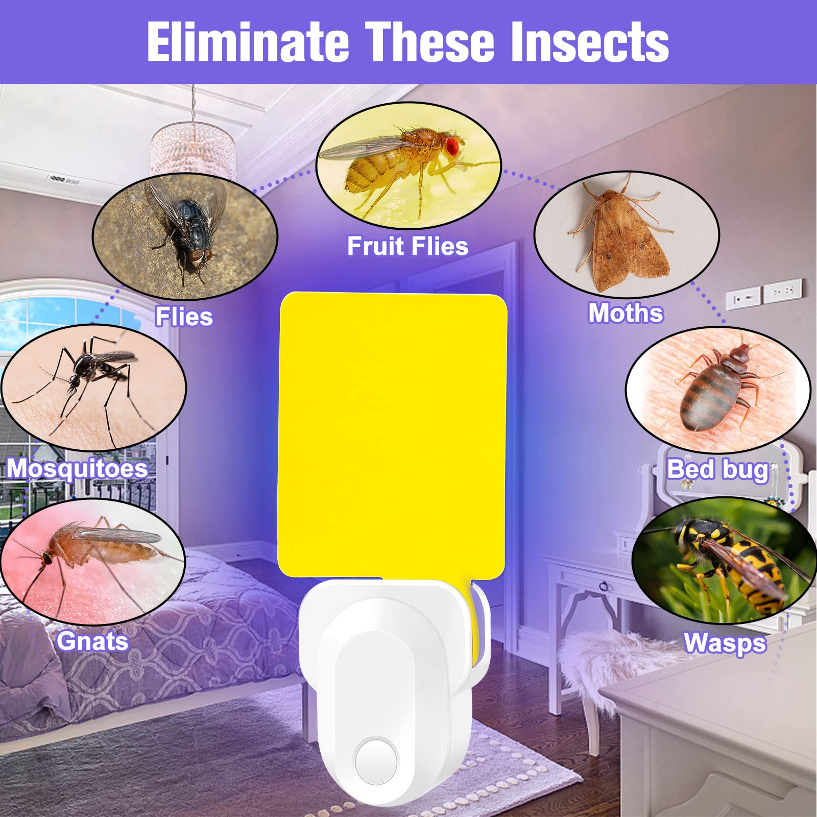 Electronic Flying Insect Trap Plug in, Fruit Flying Traps for Indoor and Office, Flea, Mosquito, Fly, Gnat, Moth, and Bug Killer Catcher, Mosquito Trap with Night Light 1 Pack 5 Sticky Boards