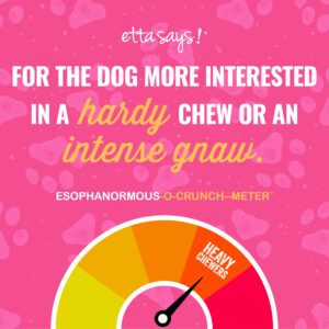 etta says! Esophonormous Esophagus Stuffed Bully Sticks Dog Chews - 5 inch All Natural High Protein Beef and Sweet Potato Chews - Made in The USA (20 Count Pack of 1)