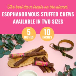 etta says! Esophonormous Esophagus Stuffed Bully Sticks Dog Chews - 5 inch All Natural High Protein Beef and Sweet Potato Chews - Made in The USA (20 Count Pack of 1)