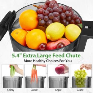 Cold Press Juicer, 350W Masticating Juicer with 5.4" Large Feed Chute Fit Whole Fruits & Vegetables, Cold Press Electric Juicer Machines with High Juice Yield, Easy to Clean, BPA Exclude-Black.