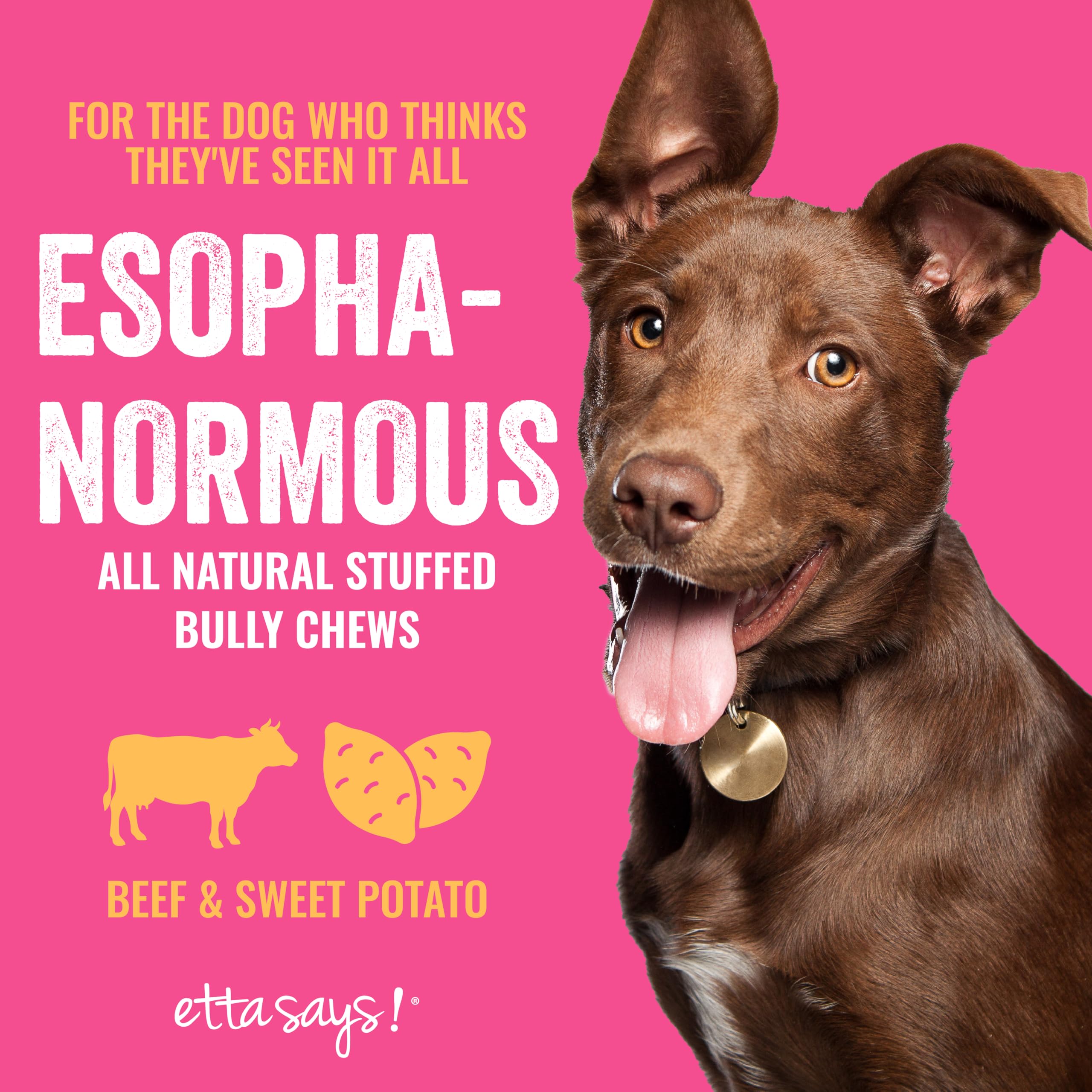 etta says! Esophonormous Esophagus Stuffed Bully Sticks Dog Chews - 5 inch All Natural High Protein Beef and Sweet Potato Chews - Made in The USA (20 Count Pack of 1)