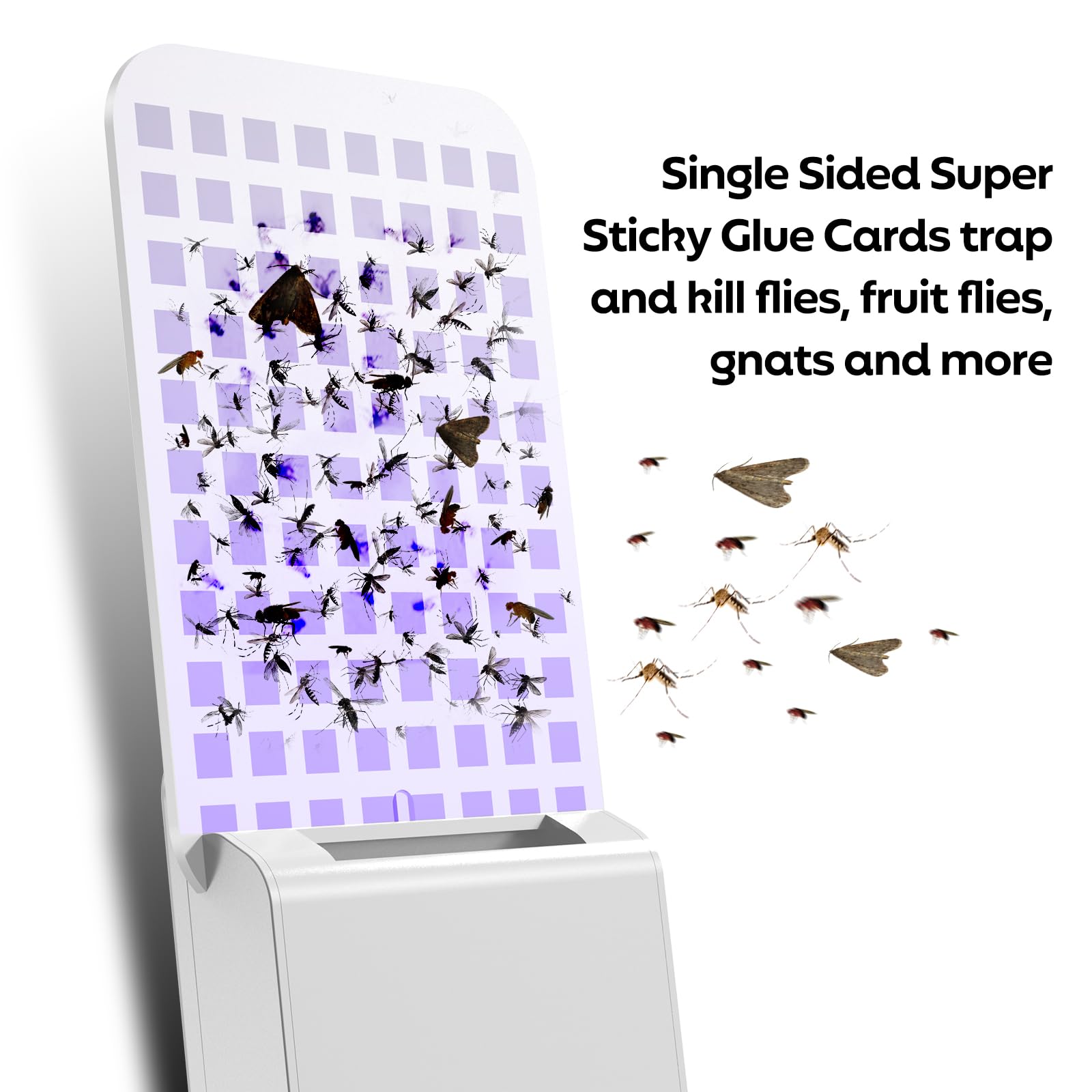 Sticky Card Refill Replacement Glue Cards for Flying Insect Trap Indoor-12pack (No Device)