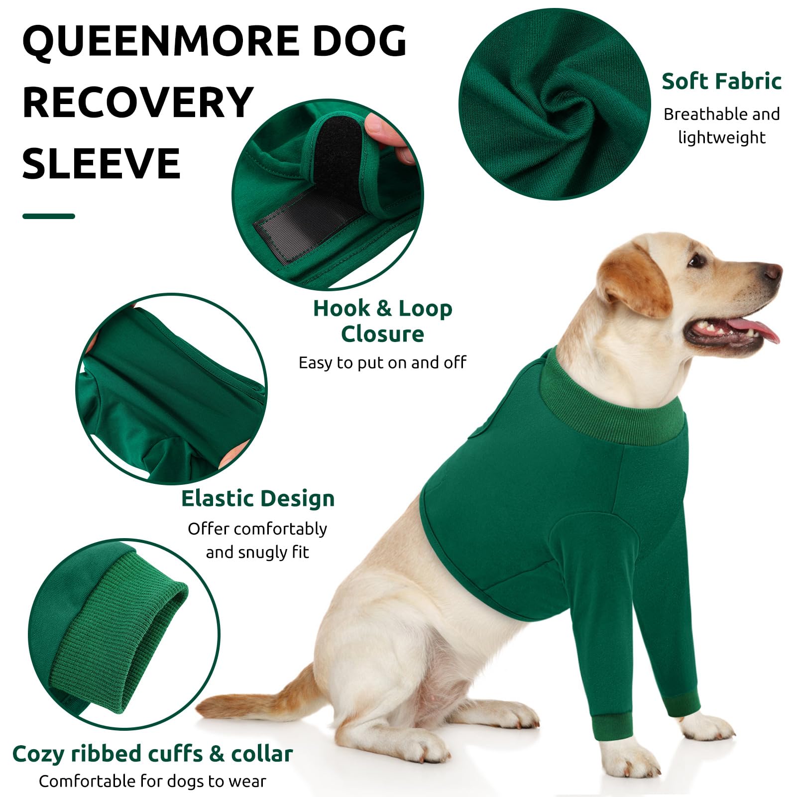 Queenmore Dog Recovery Suit for Front Legs, Adjustable Dog Leg Sleeves to Stop Licking, Breathable Suitical Recovery Sleeve for Large Dogs, Wound Care for Dogs, Green, L