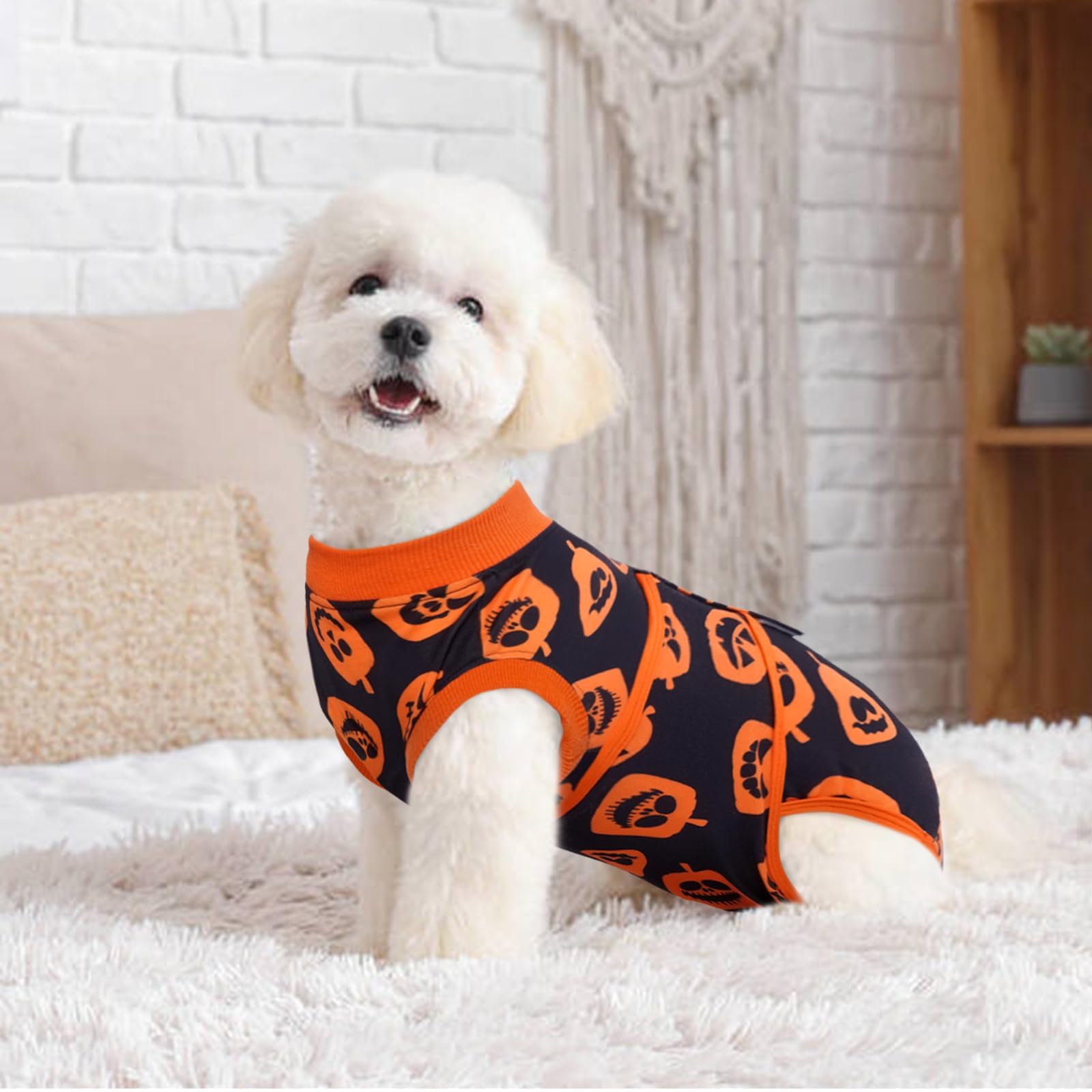 Kuoser Recovery Suit for Dogs After Surgery, Halloween Dog Surgical Recovery Suit for Female Male Dogs, Dog Onesies for Large Dogs, Pet Surgical Suit for Spay Neuter Dog Cone Alternative