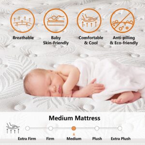 Queen Mattress 12 inch, Hybrid Memory Foam Mattress with Pocket Springs, Queen Size Mattress, Queen Mattress in a Box, Colchones Queen, Medium Firm, Pressure Relief, Upgraded Support, CertiPUR-US