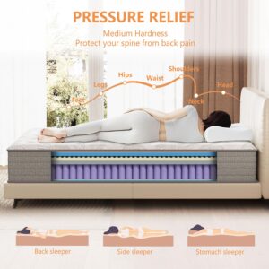 Twin Mattress 12 inch, Hybrid Memory Foam Mattress with Pocket Springs, Twin Size Mattress, Colchones Twin, Mattress in a Box, Medium Firm, Pressure Relief, Upgraded Support, CertiPUR-US, 39"*75"*12"