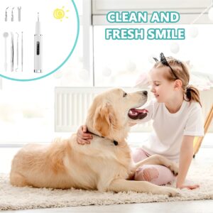 INCANDESCO Dog Plaque Remover for Teeth - Dog Teeth Cleaning kit - ultrasonic Plaque Remover for Dogs with LED Light & 6 Adjustable Modes Dog Tartar Remover for Teeth,Dog Dental Care (White, Large)