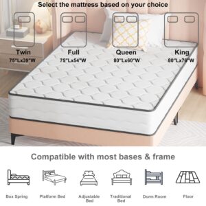 10 Inch Queen Size Mattress with Innerspring and Foam, Hybrid Mattress Queen with Fiberglass Free, Medium Firm Spring Mattress, Queen Size Mattress in A Box, Pressure Relief, 80"L X 60"W X 10"Th