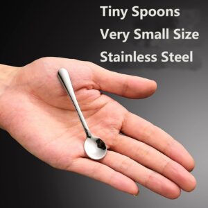 8 PCS Tiny Stainless Steel Spoons for Spices Jars, Mini Size 2.87", Cute Small Stainless Steel Condiment Spoons for Spices, Salt, Sugar, Pepper, Honey, Asanta Fun Little Scoops