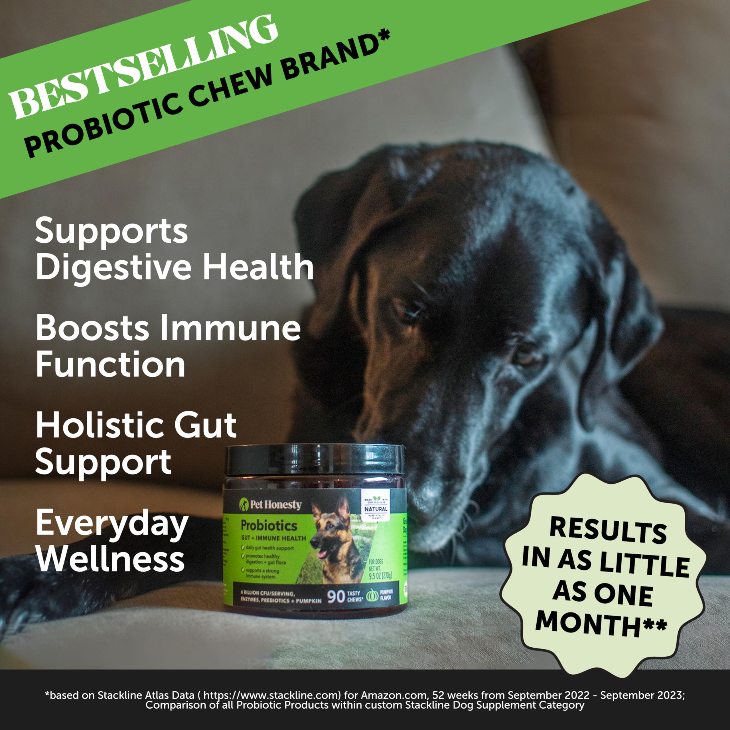 Pet Honesty Allergy Itch Relief & Probiotics Bundle: Dog Allergy Relief & Gut Health Chews (Peanut Butter & Duck 90 ct)