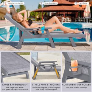 LOENIY Outdoor Chaise Lounge Chair with Textilene Surface, 5-Position Adjustable Patio Lounge Chair with Wheels & Cup Holder, HDPE Pool Lounge Chair for Outside, Poolside & Beach (Grey, 1)