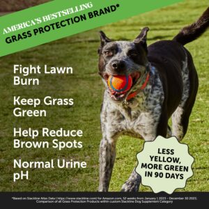 Pet Honesty Dog Urine Neutralizer & Probiotics Bundle: Grass Burn Spot Saver & Digestive Health Support Chews (Turkey & Duck 90 ct)