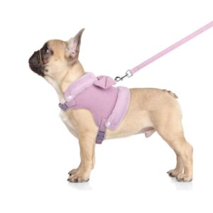 Beirui Cute Small Dog Harness and Leash Set with Bow Tie, Warm Soft Padded Pet Harness with Removable Fur Collar, Adjustable Girl Dog Harness with Quick Release Buckles for Walking(Purple,M)