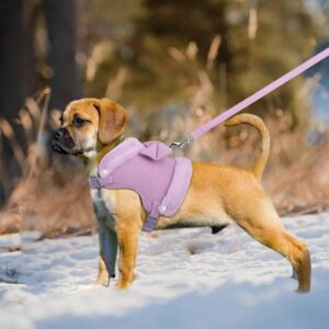 Beirui Cute Small Dog Harness and Leash Set with Bow Tie, Warm Soft Padded Pet Harness with Removable Fur Collar, Adjustable Girl Dog Harness with Quick Release Buckles for Walking(Purple,M)