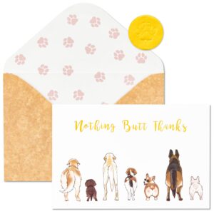 crisky 50 count dog thank you cards nothing butt thanks gold foil funny thank you cards with envelopes & stickers for friends, women men, teachers, colleagues, dog lovers