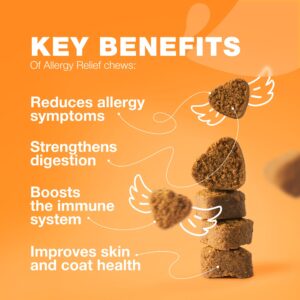 CHEWIA Dog Allergy Relief Chews - 180 Dog Allergy Chews - Immune Health, Seasonal Allergies & Hot Spots Support Treats