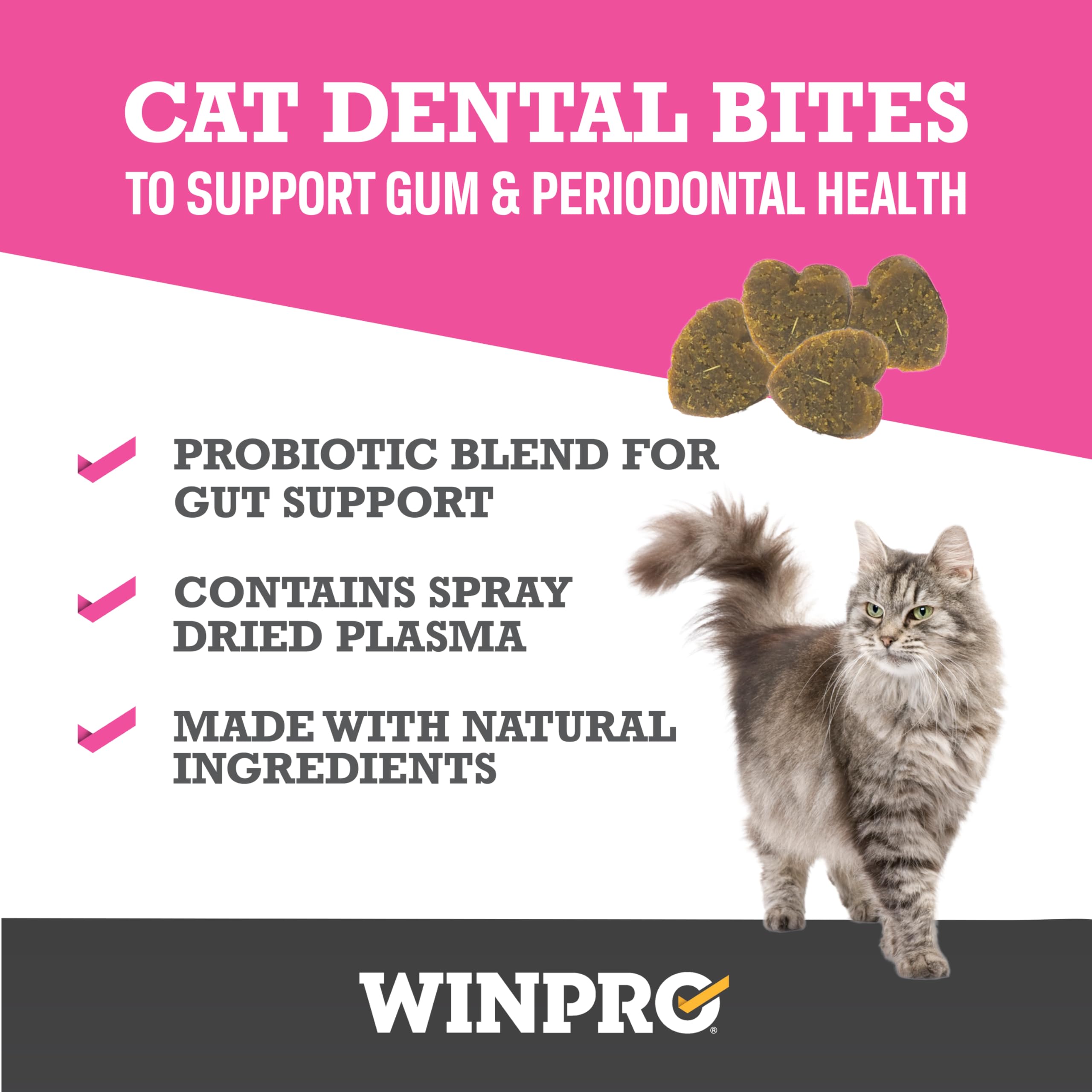 WINPRO - Tasty Dental Bites for Cats, Plasma-Powered Formula for Teeth Cleaning, Gum Support & Dental Care, Probiotic Blend Catnip Treats for Gut Health, All Cat Breeds, 120 Count, Made in USA