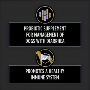 Veterinary Supplements Chewable Dog Probiotic Supplement Tablets - 90 ct. Canister