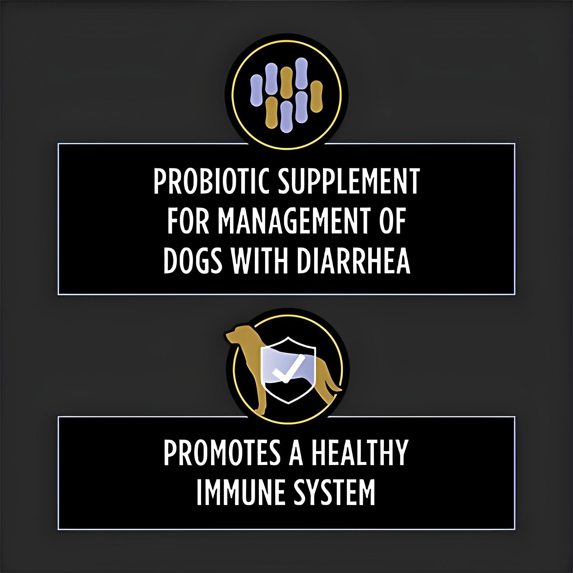 Veterinary Supplements Chewable Dog Probiotic Supplement Tablets - 90 ct. Canister