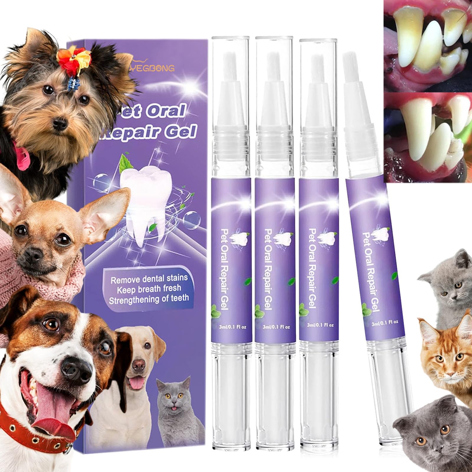 Pet Oral Repair Gel, Pet Oral Restoration White Gel, Pet Oral Care Gel, Pet Breath Freshener for Dogs & Cats, Pet Teeth Repairing, Pet Oral Restorative Gel, 3ml (4)