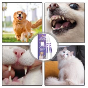 Pet Oral Repair Gel, Pet Oral Restoration White Gel, Pet Oral Care Gel, Pet Breath Freshener for Dogs & Cats, Pet Teeth Repairing, Pet Oral Restorative Gel, 3ml (10)