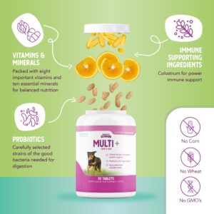 Health Extension Bundle - Little Bites Dry Dog Food Chicken & Brown Rice Recipe (4 lbs) & Multivitamin (30 Tablets) - High-Protein, Balanced Nutrition for Dogs of All Life Stages