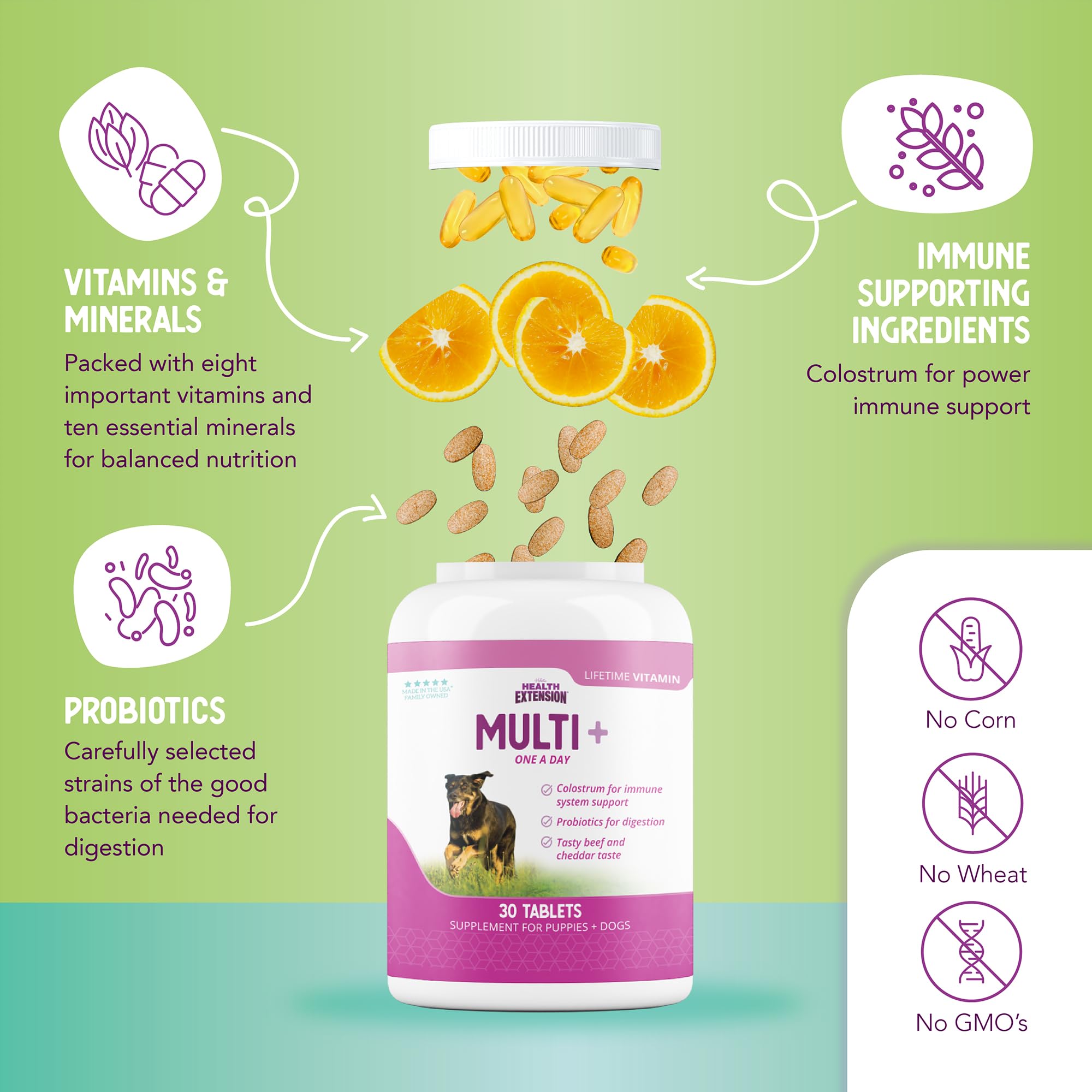 Health Extension Bundle - Little Bites Dry Dog Food Chicken & Brown Rice Recipe (4 lbs) & Multivitamin (30 Tablets) - High-Protein, Balanced Nutrition for Dogs of All Life Stages